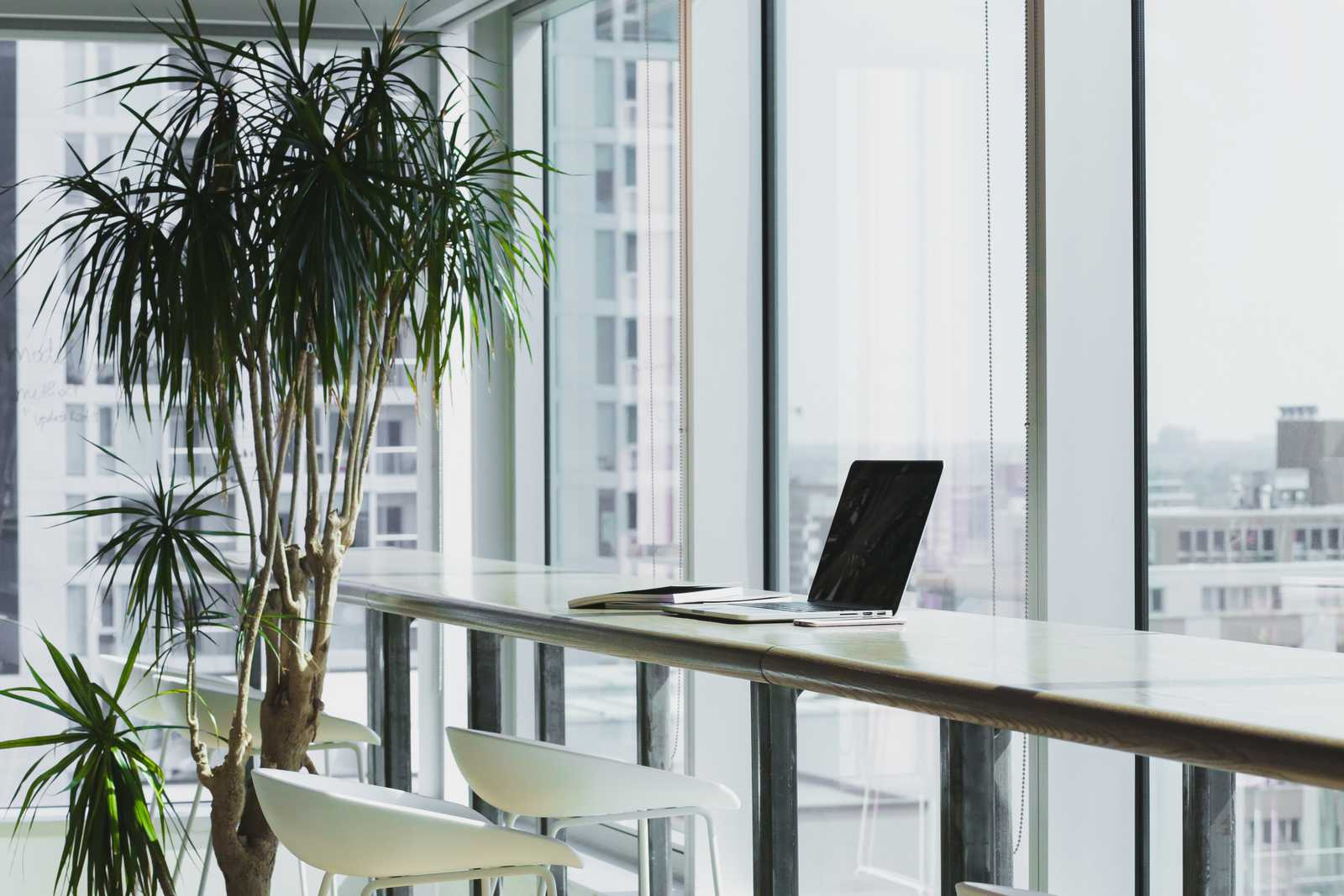 plant and laptop in office